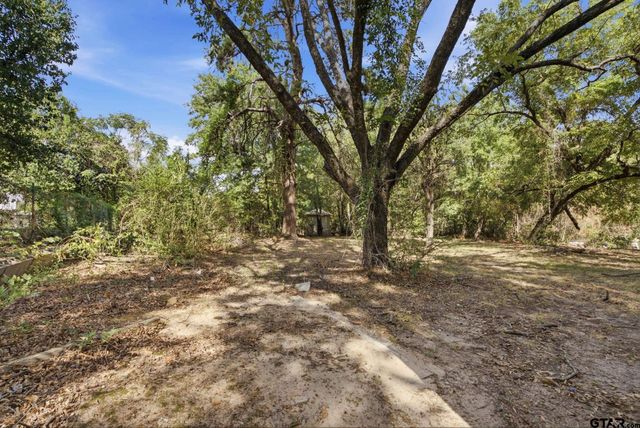 1425 Dogwood St, Tyler, TX 75701
