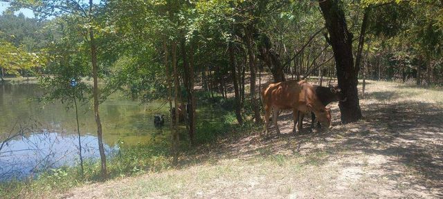 15713 County Road 4015, Mabank, TX 75147