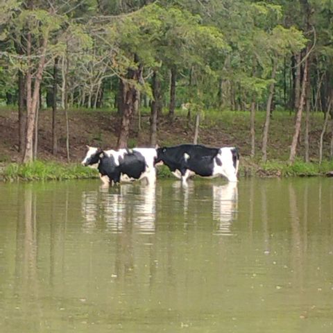 15713 County Road 4015, Mabank, TX 75147