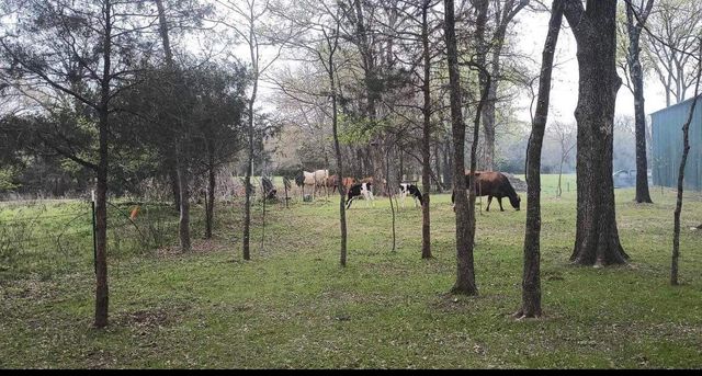 15713 County Road 4015, Mabank, TX 75147