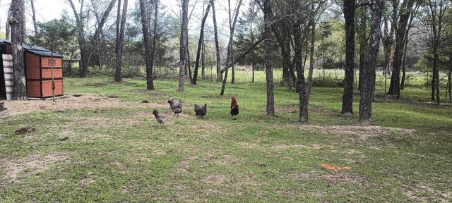 15713 County Road 4015, Mabank, TX 75147