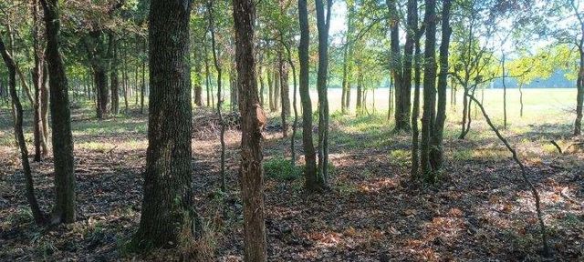 15713 County Road 4015, Mabank, TX 75147