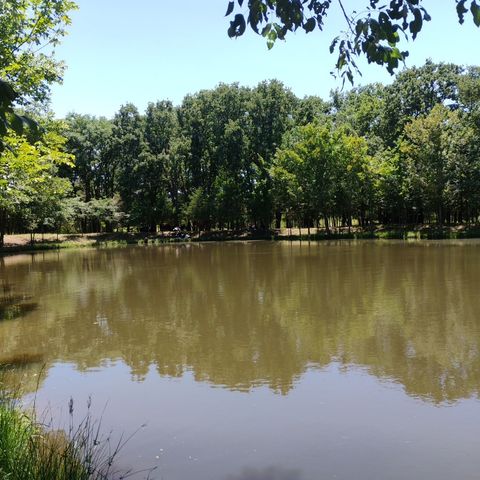 15713 County Road 4015, Mabank, TX 75147