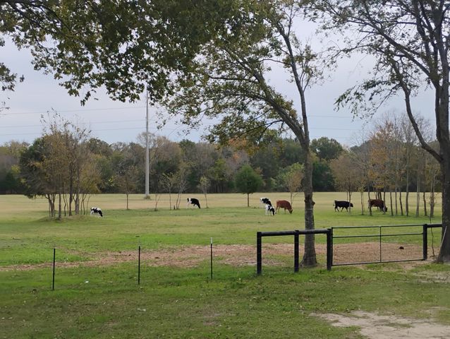 15713 County Road 4015, Mabank, TX 75147