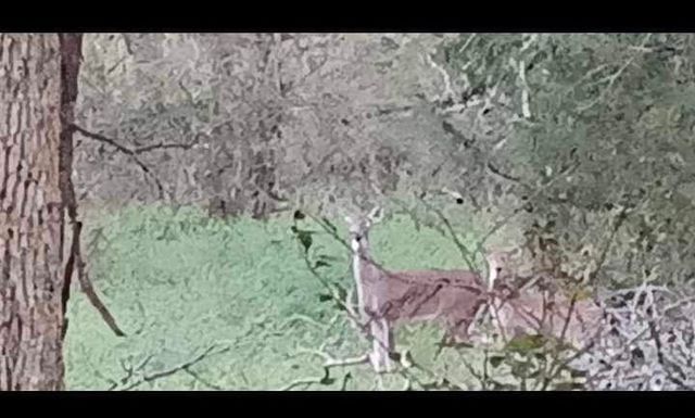 15713 County Road 4015, Mabank, TX 75147