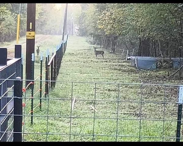 15713 County Road 4015, Mabank, TX 75147