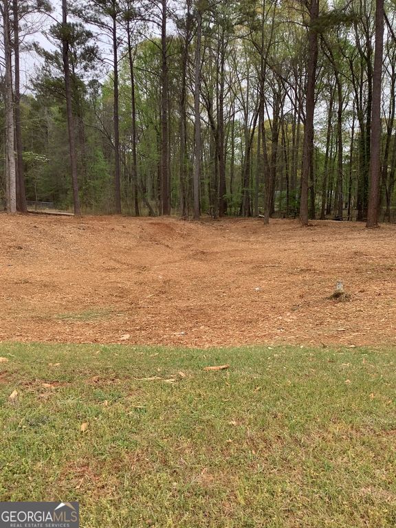 0 Hilo Road, Fayetteville, GA 30215