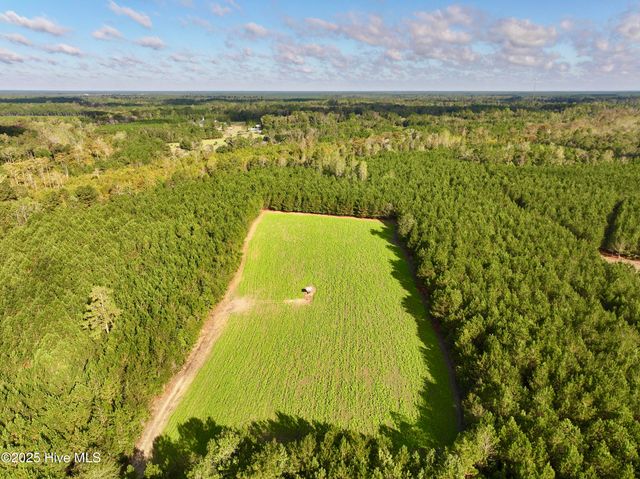 0 Atkinson Cemetery Road, Atkinson, NC 28421