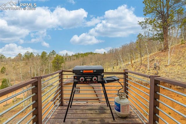953 Yorktown Road, Cripple Creek, CO 80813