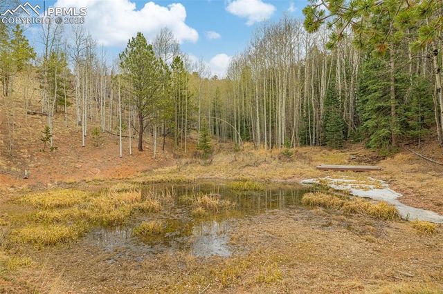 953 Yorktown Road, Cripple Creek, CO 80813