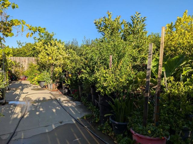 2517 JAYDEN Way, Stockton, CA 95212