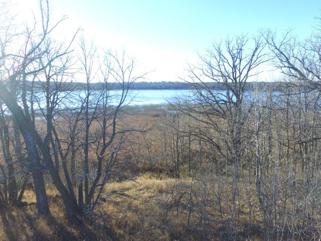 TBD Leaf River Road, Leaf Lake Twp, MN 56571