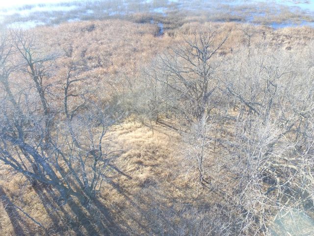 TBD Leaf River Road, Leaf Lake Twp, MN 56571