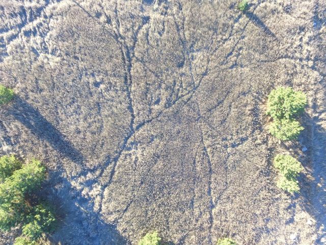 TBD Leaf River Road, Leaf Lake Twp, MN 56571