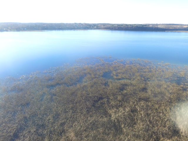 TBD Leaf River Road, Leaf Lake Twp, MN 56571