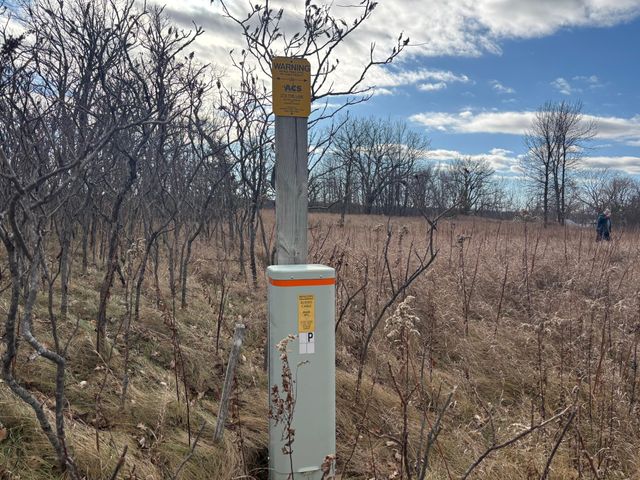 TBD Leaf River Road, Leaf Lake Twp, MN 56571