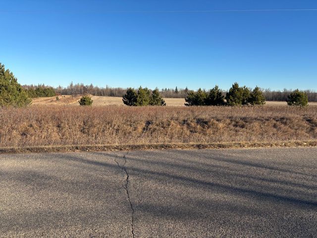 TBD Leaf River Road, Leaf Lake Twp, MN 56571