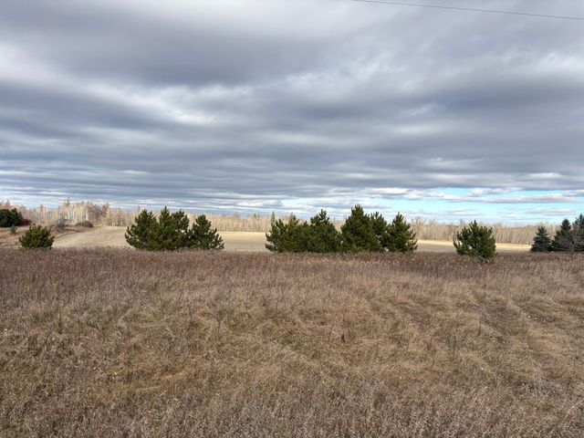 TBD Leaf River Road, Leaf Lake Twp, MN 56571