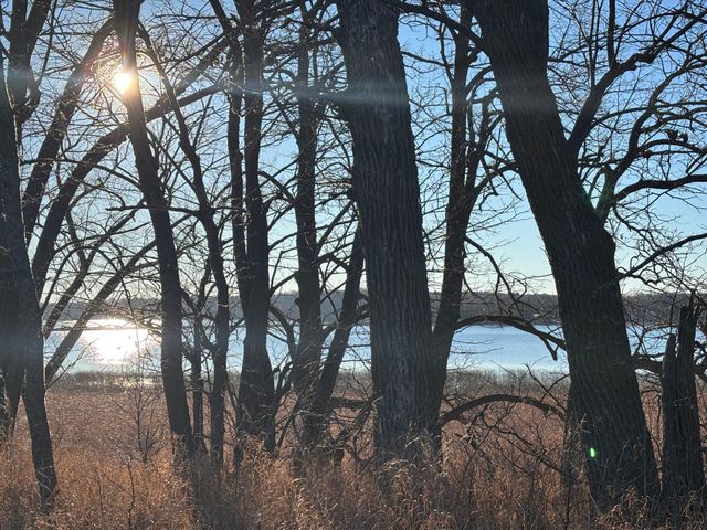 TBD Leaf River Road, Leaf Lake Twp, MN 56571