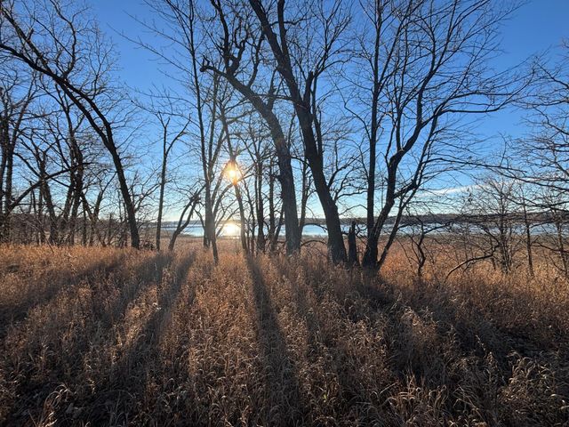 TBD Leaf River Road, Leaf Lake Twp, MN 56571