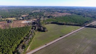 0 Rocks Pond Road Lot N, Eutawville, SC 29048