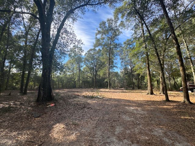 2 Acres N Norwood North Road, Defuniak Springs, FL 32433