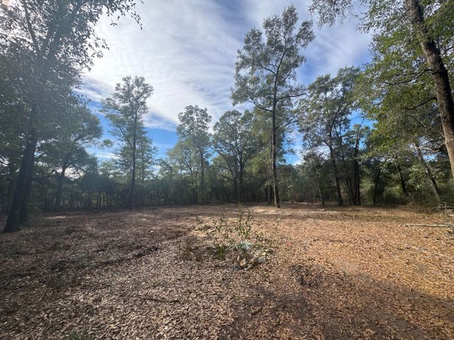 2 Acres N Norwood North Road, Defuniak Springs, FL 32433