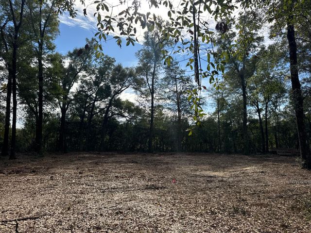 2 Acres N Norwood North Road, Defuniak Springs, FL 32433