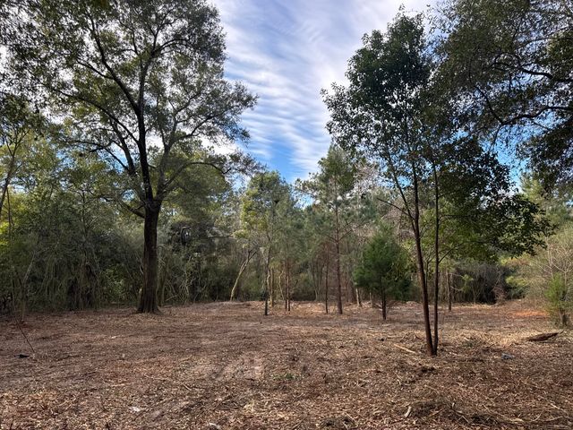 2 Acres N Norwood North Road, Defuniak Springs, FL 32433