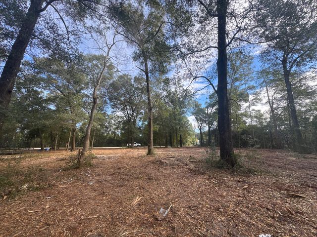 2 Acres N Norwood North Road, Defuniak Springs, FL 32433