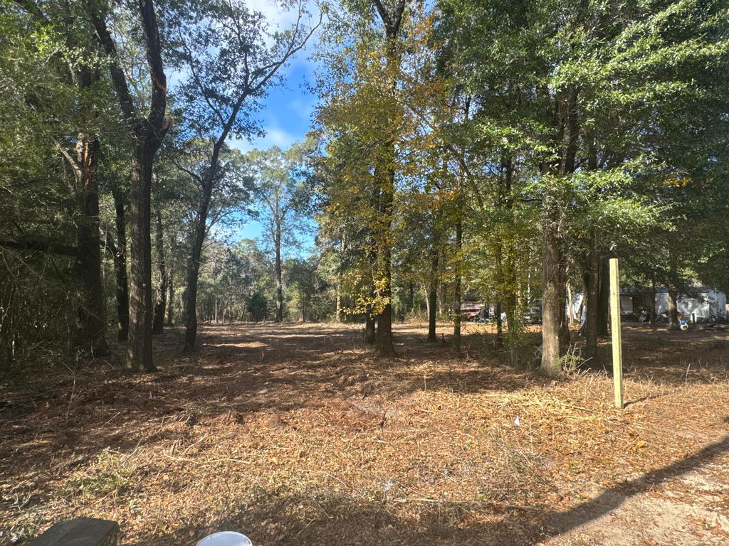2 Acres N Norwood North Road, Defuniak Springs, FL 32433