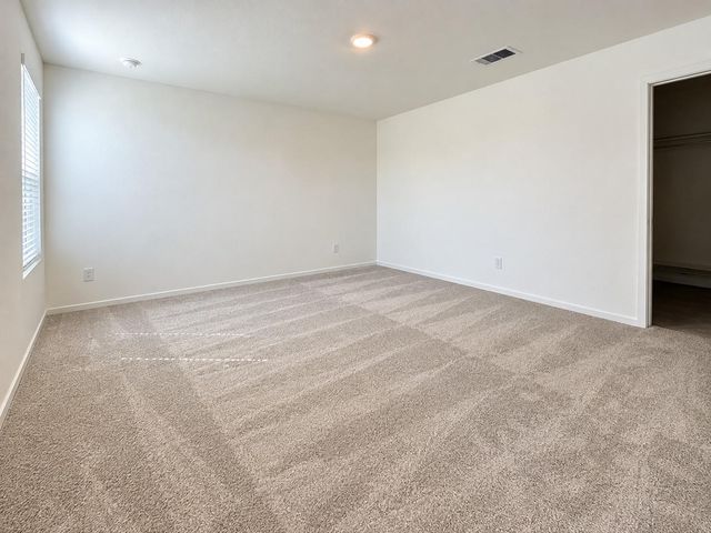 29051 Tall Wildgrass Court, Hockley, TX 77447