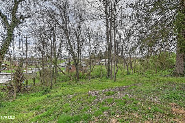 5 Birch Street, Bristol, TN 37620