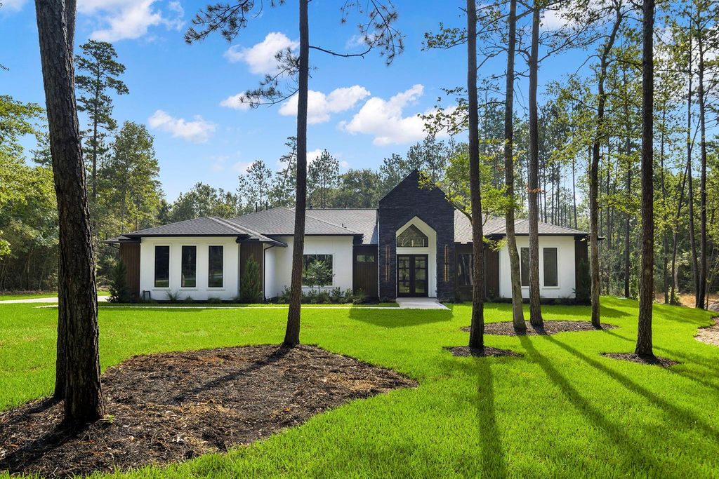 15868 Wooded Trail Way, Willis, TX 77378