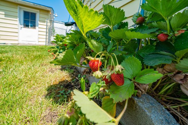 512 S Thierman Rd, Spokane Valley, WA 99212