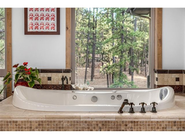 10231 Democrat Rd, Parker, CO 80134