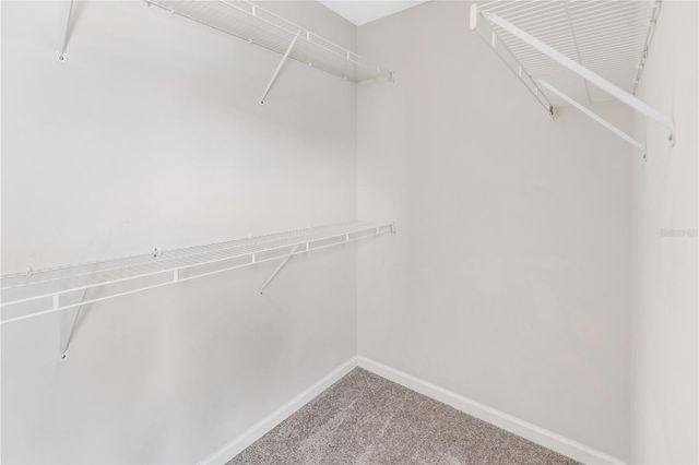 10135 POST HARVEST DRIVE, Riverview, FL 33578