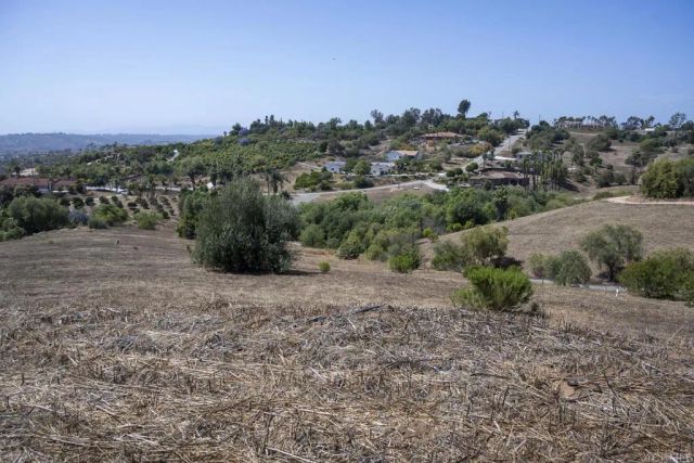 31801 Wrightwood, Bonsall, CA 92003