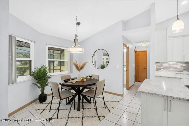 1487 Alameda Drive, Spring Hill, FL 34609