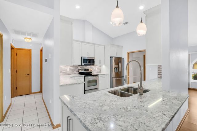 1487 Alameda Drive, Spring Hill, FL 34609