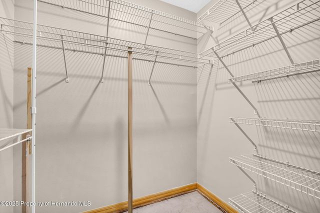 1487 Alameda Drive, Spring Hill, FL 34609