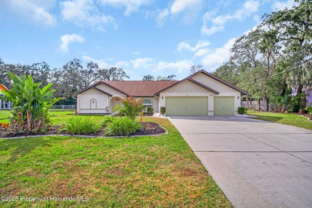 1487 Alameda Drive, Spring Hill, FL 34609