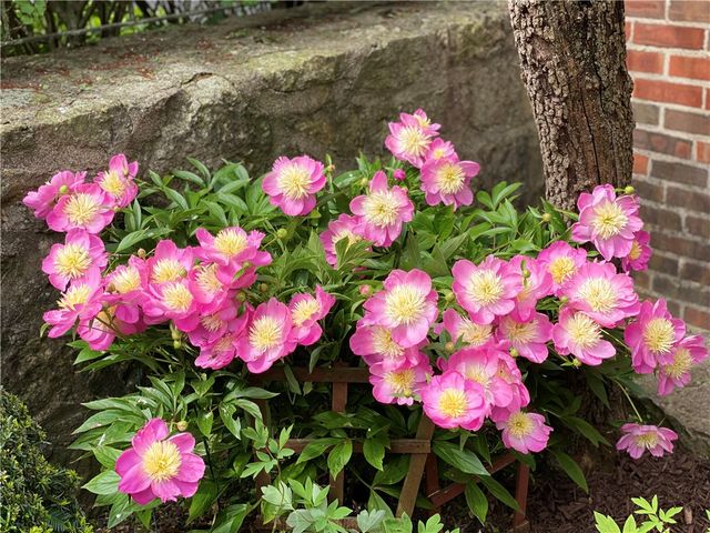 735 Tanglewood Drive, Springfield, OH 45504