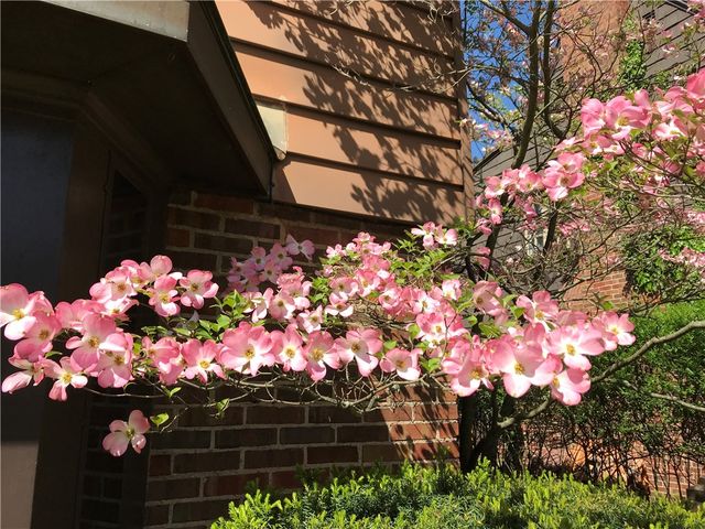 735 Tanglewood Drive, Springfield, OH 45504