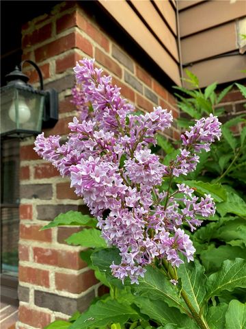 735 Tanglewood Drive, Springfield, OH 45504