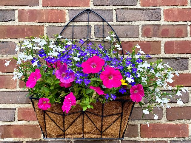 735 Tanglewood Drive, Springfield, OH 45504