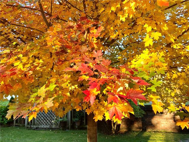 735 Tanglewood Drive, Springfield, OH 45504