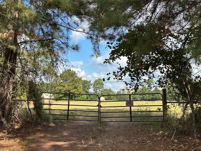 11 ac W Danville Rd, Willis, TX 77378