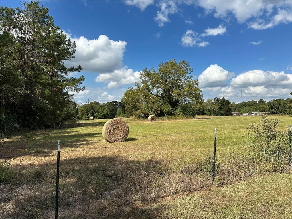 11 ac W Danville Rd, Willis, TX 77378