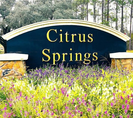 3637 W Wilhelm Street, Citrus Springs, FL 34433